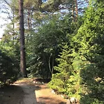 Lodge Lesne Zacisze Poddąbie