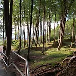 Lodge Lesne Zacisze Poddąbie
