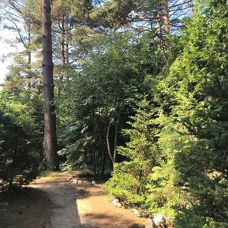 ロッジ Lesne Zacisze ポッドンビエ