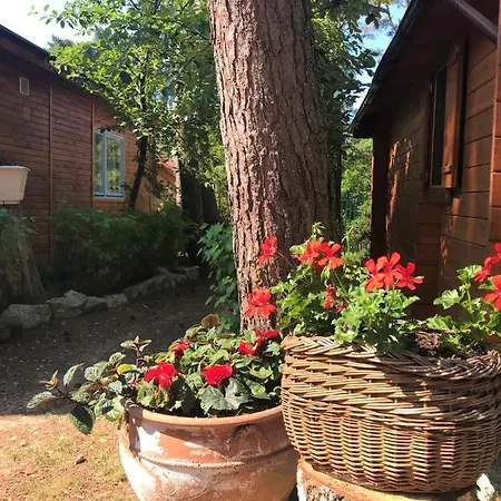 ロッジ Lesne Zacisze ポッドンビエ