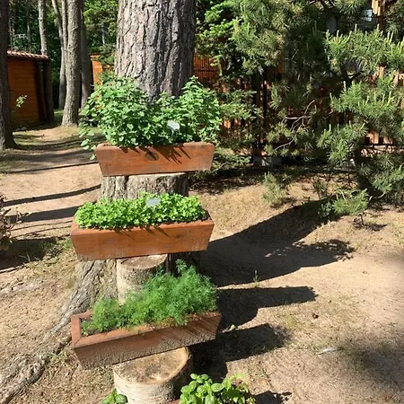 Lodge Lesne Zacisze Poddąbie