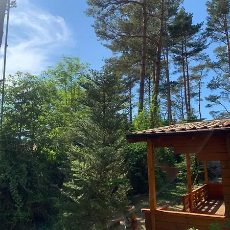 Lesne Zacisze ポッドンビエ