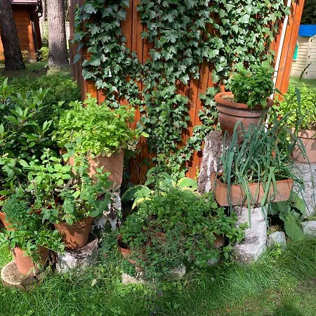 Lesne Zacisze Poddąbie