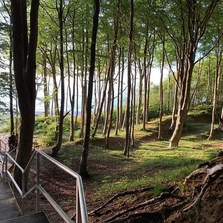 Alojamento de Turismo Selvagem Lesne Zacisze Poddąbie