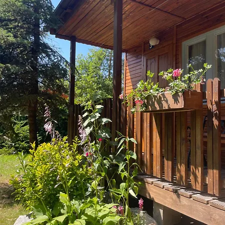 Lesne Zacisze * ポッドンビエ