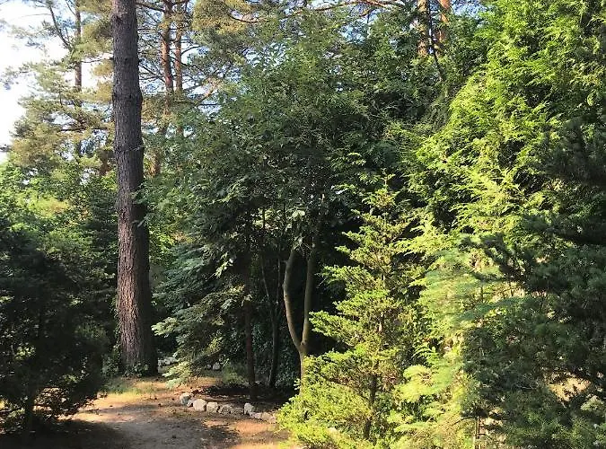 Деревянный коттедж Lesne Zacisze Поддомбе