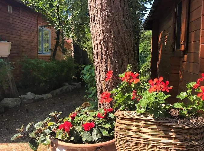 Деревянный коттедж Lesne Zacisze Поддомбе