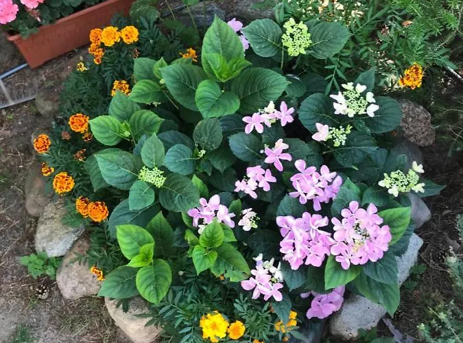 Lesne Zacisze Поддомбе