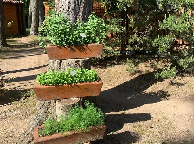 Деревянный коттедж Lesne Zacisze Поддомбе