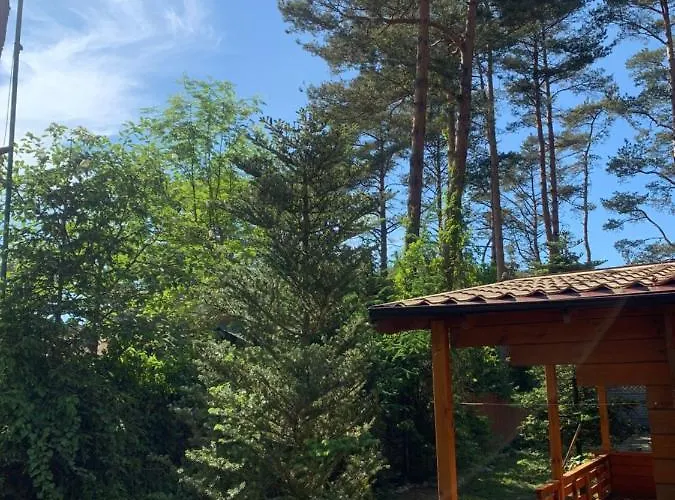 Lesne Zacisze Поддомбе