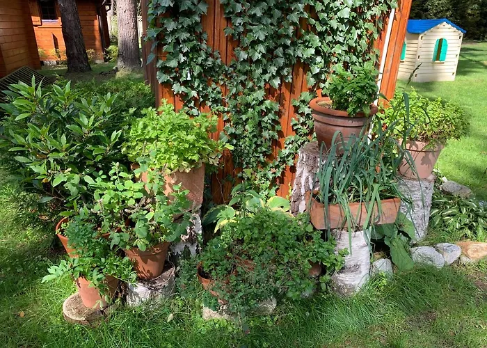 Lesne Zacisze Поддомбе