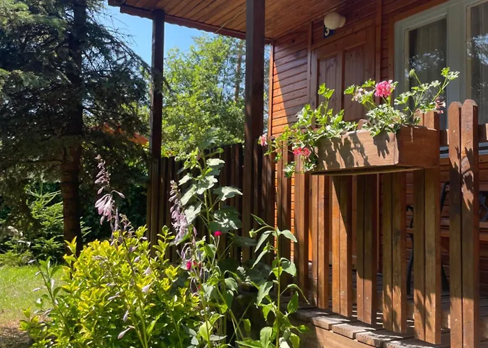 Lesne Zacisze * Поддомбе